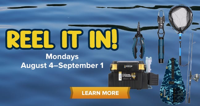 Reel It In!