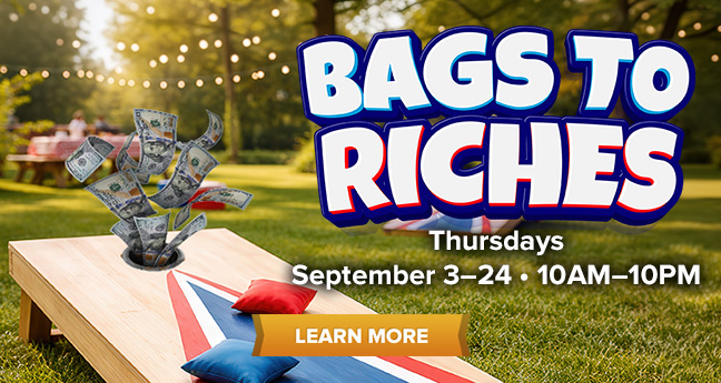 Bags To Riches