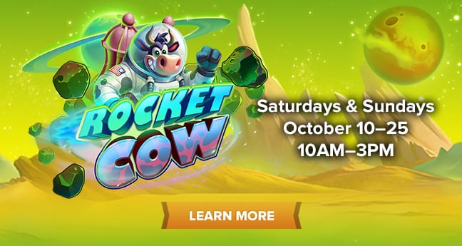 Rocket Cow